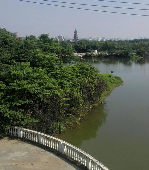 美丽南昌 象湖湿地公园美景