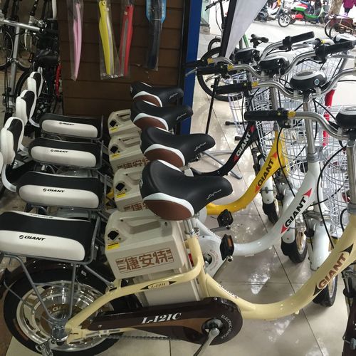 分别是安尔达1680,安尔达1780,倍特1788,捷安特1999,买哪款电动车,请