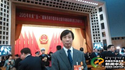 我校张和平教授被评为全国先进工作者