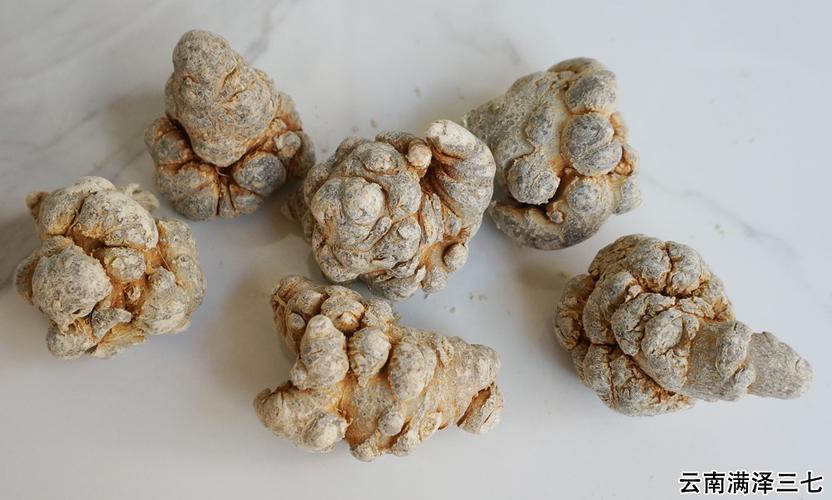 三七品种,分类多,就算整个三七头,你也不一定能买到好的,真的.