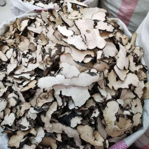 猪苓 中药材 猪苓切片 实图拍摄一手货源