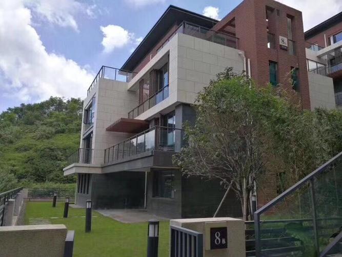 盐田地铁口别墅《半山半海》珍藏惜售