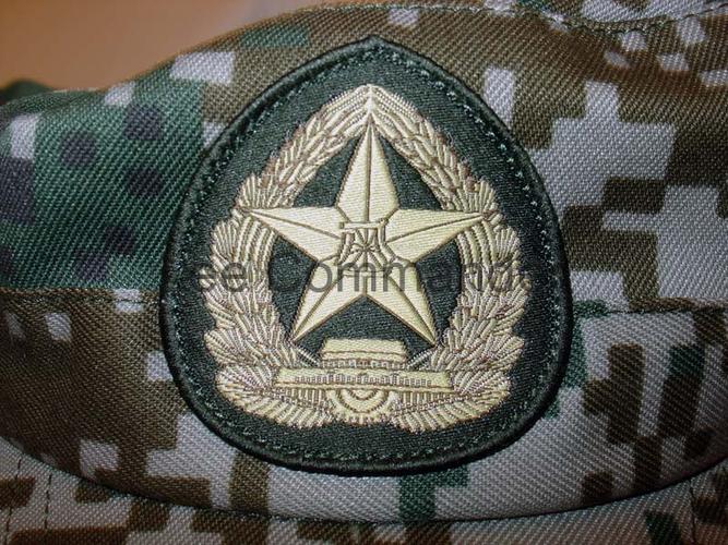 根据我所收集的这些帽子并没有发现此前所出现的三军不同底色的作训帽