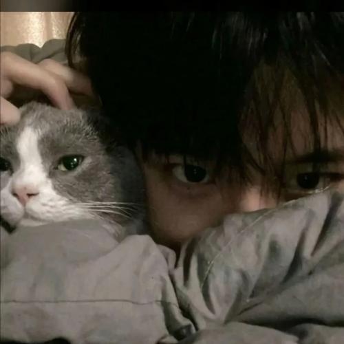 8.28,今日主推qq头像,微信头像