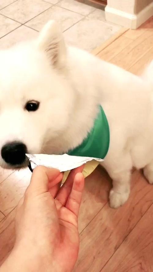 抖音挑战: mywhitegirl