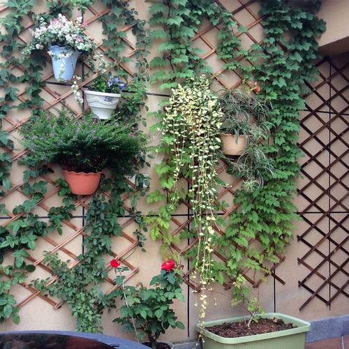 爬藤架防腐木篱笆碳化栅栏庭院木围栏户外墙面装饰阳台网格花架