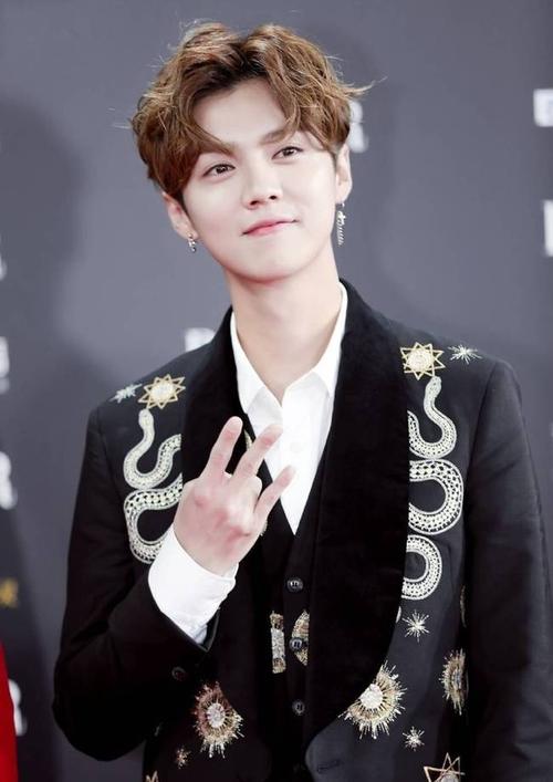 腾讯娱乐讯 上周末,鹿晗一袭黑色西装亮相芭莎慈善夜红毯.