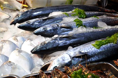 送鲅鱼变了味大小成了攀比之风青岛女婿有苦难言