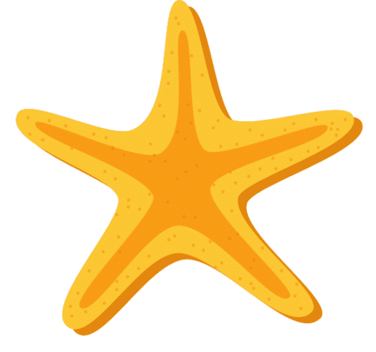 橙色海星 orange starfish素材 - canva可画
