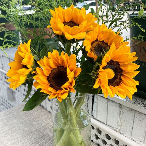 向日葵花束鲜花太阳花真花同城速递云南基地直发祝福