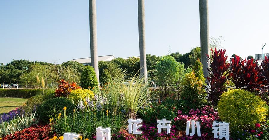 广东佛山顺德区面积最小的镇,名字中带"村",是全国千强镇