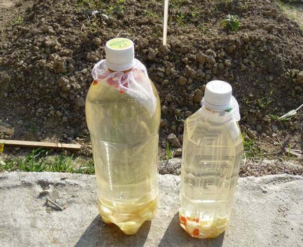 为什么自制的大蒜,辣椒天然杀虫剂没有效果,看看老园丁怎么说