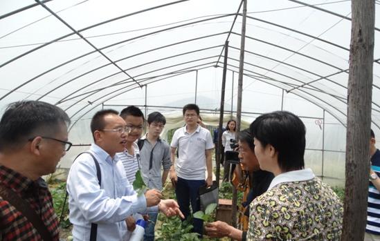 县绿办联合县科协深入基地举办草莓种植培训班