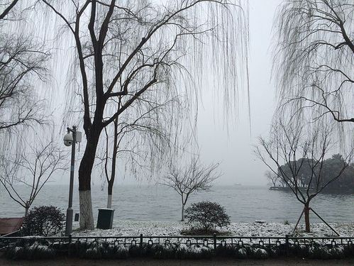 杭州西湖雪景