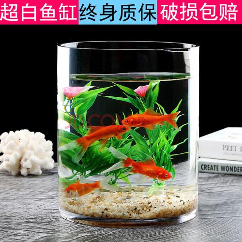 小鱼缸玻璃金鱼缸裸缸客厅办公室桌面家用摆件圆柱鱼缸小型水族箱 20x