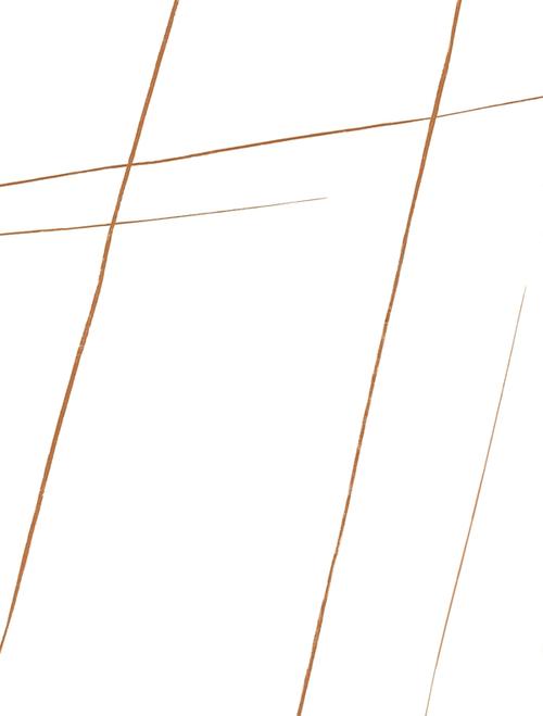 whtgd12104劳伦白金