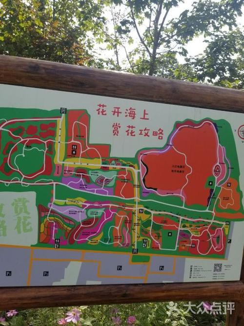 花开海上生态园图片 - 第1张