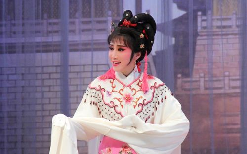 20170211越剧《孟丽君》会审-忻雅琴