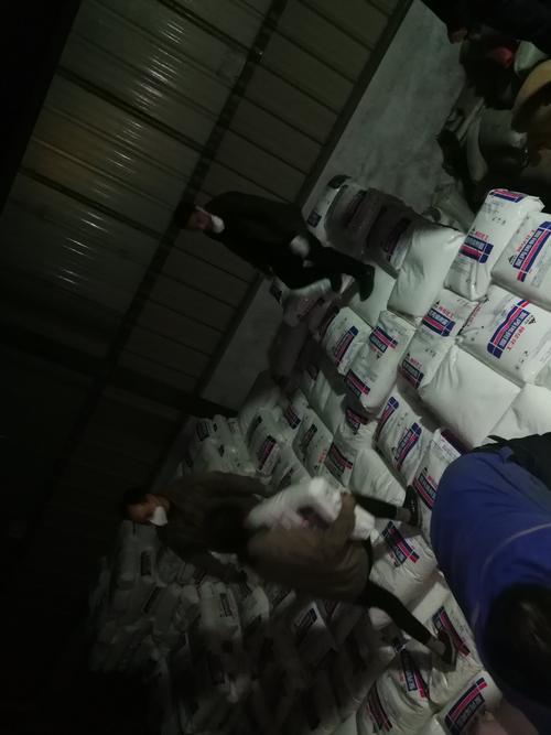 第三车卸车中,姬海文,王博,李红运,郝铃,耿根挺,韩光勤,许飞