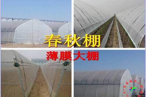 春秋棚冷棚钢管薄膜大棚蔬菜大棚简易插地棚昱泰温室大棚设计建设
