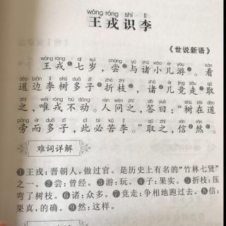 王戎识李文言文解释 王戎七岁尝与诸小儿游.