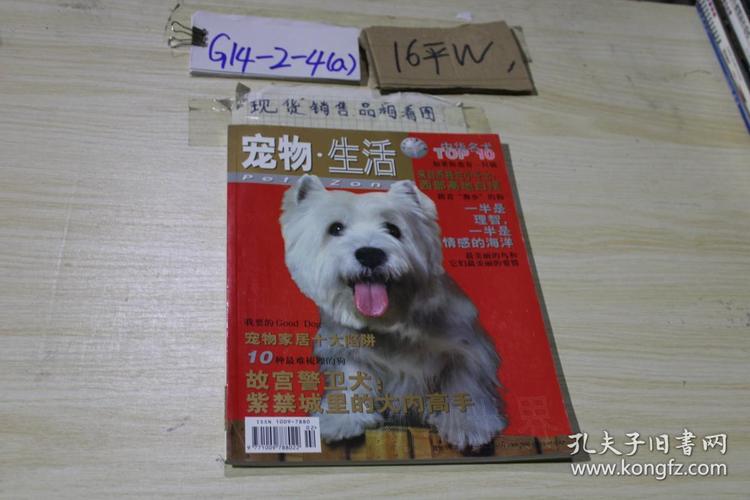 宠物生活2003年11月号