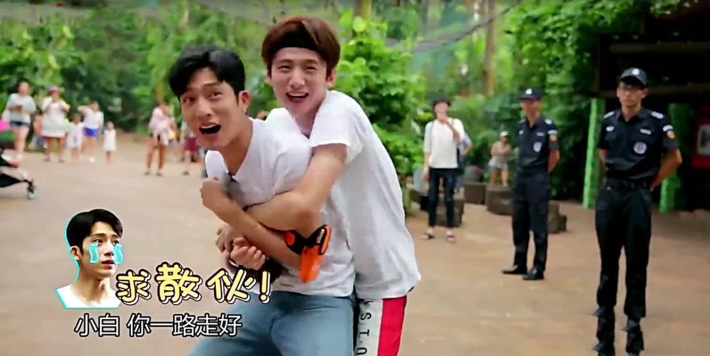 塑料兄弟情!井柏然白敬亭的"183组合"要解散?