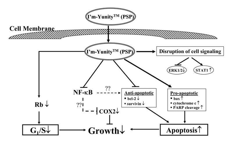 genic/anti-apoptotic and extracellular signaling regulatory