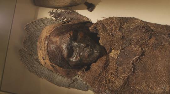 "楼兰美女"说好的盛世美颜,何以变成中年女汉子啦?