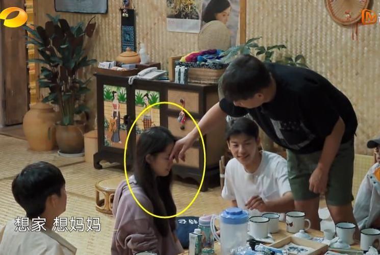 欧阳娜娜突然"崩溃"大哭大家都以为她是喝多了,黄磊一针见血说出真相