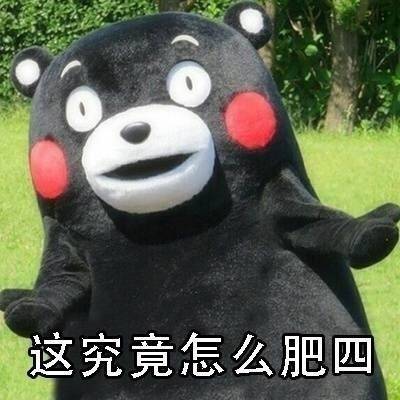 怎么肥四系列表情包大全 软件是 怎么肥四表情包是目前最流行的表情包