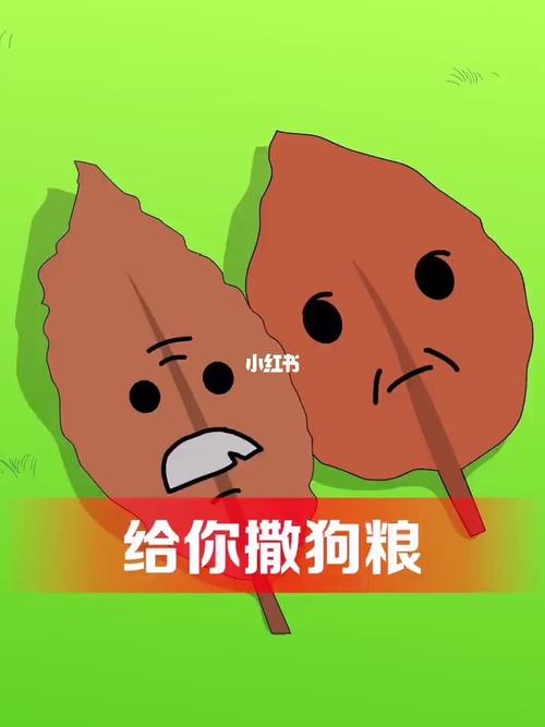 这碗狗粮我干了 你随意_狗粮_动漫_动漫热番推荐_影视