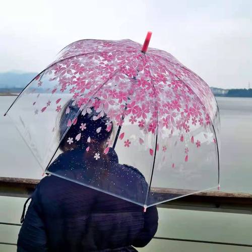 日系小清新唯美樱花透明雨伞长柄雨伞创意潮流阿波罗