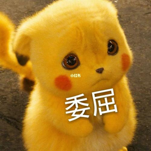 超萌皮卡丘表情包|装可怜必备_表情包_皮卡丘_素材