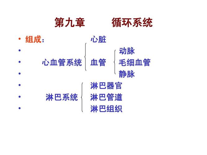 循环系统是生物体的细胞外液(包括血浆,淋巴和组织液)及其借以循环
