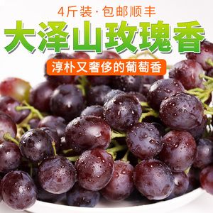 参情无限 葡萄 玫瑰香葡萄大泽山提子新鲜红提4斤装山东特产包邮