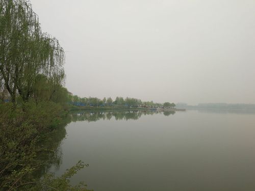美丽的成武蓝水湾,我可爱的家