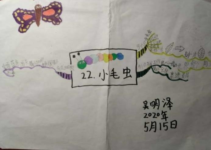 《小毛虫》思维导图