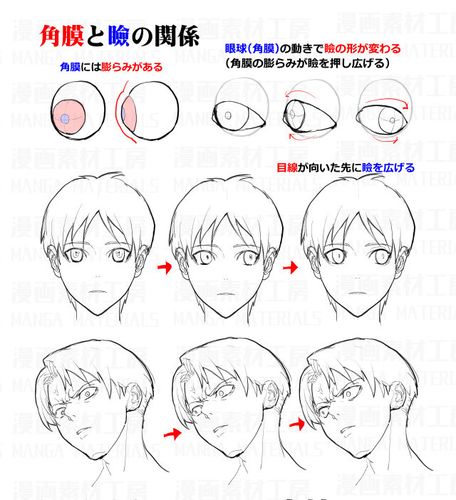 但是在画动漫的时候,画师必须清楚的知道人物脸部的肌肉分布和走向.