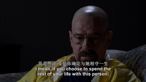 绝命毒师    