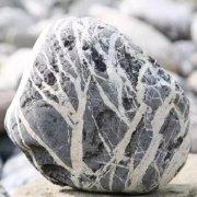 【美文赏析:我的宁河石!】我在宁河边的沙滩上散步.