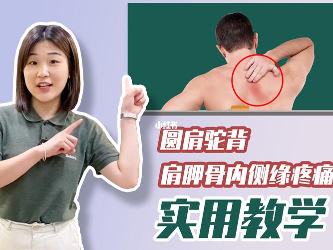 圆肩驼背 肩胛骨缝疼痛?超实用教学快来看!_驼背_圆肩