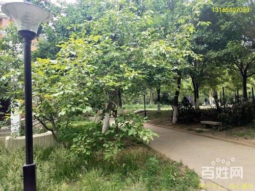 聊大花园别墅 190平 4室2厅 80平院子 带车