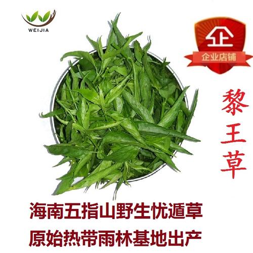 五指山忧遁草鲜叶优盾草干叶黎王草优顿草鳄嘴花正宗海南全国包邮