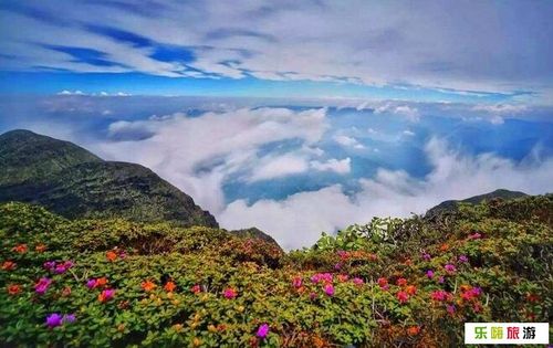 巧家药山(巧家水塔) 景区攻略