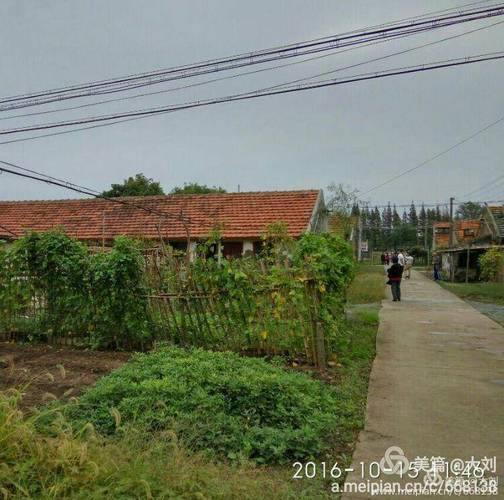 重回第二故乡一崇明新海农场三连