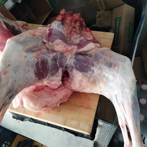 呼伦贝尔羊肉,可分割,羊前腿,后腿,肋扇