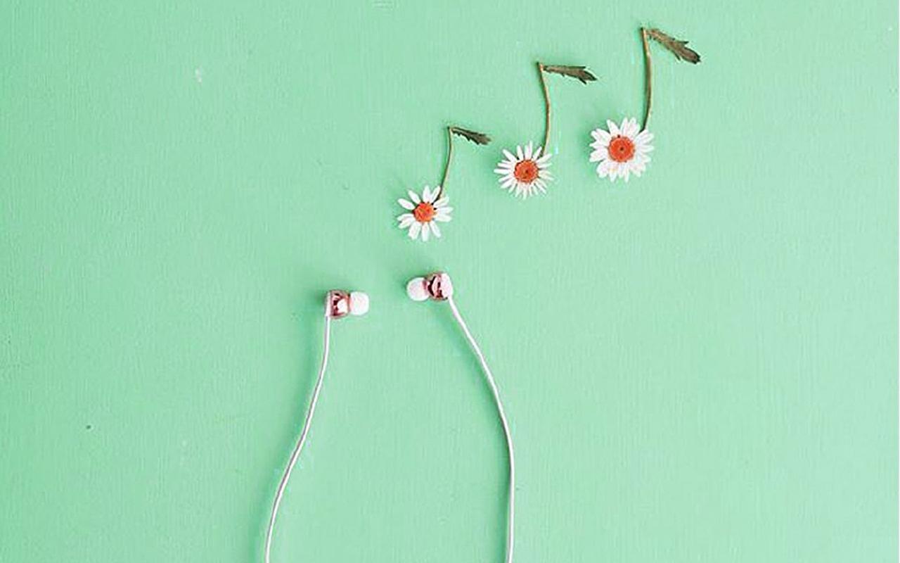 小清新绿色背景创意图片桌面壁纸