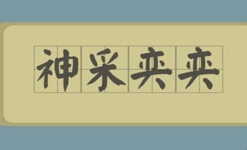 神采奕奕是什么意思