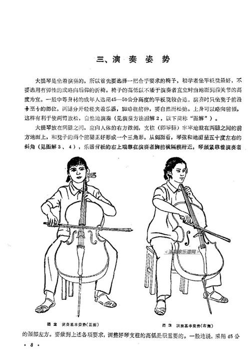 作为一个会拉大提琴的漂亮姑娘是什么体验